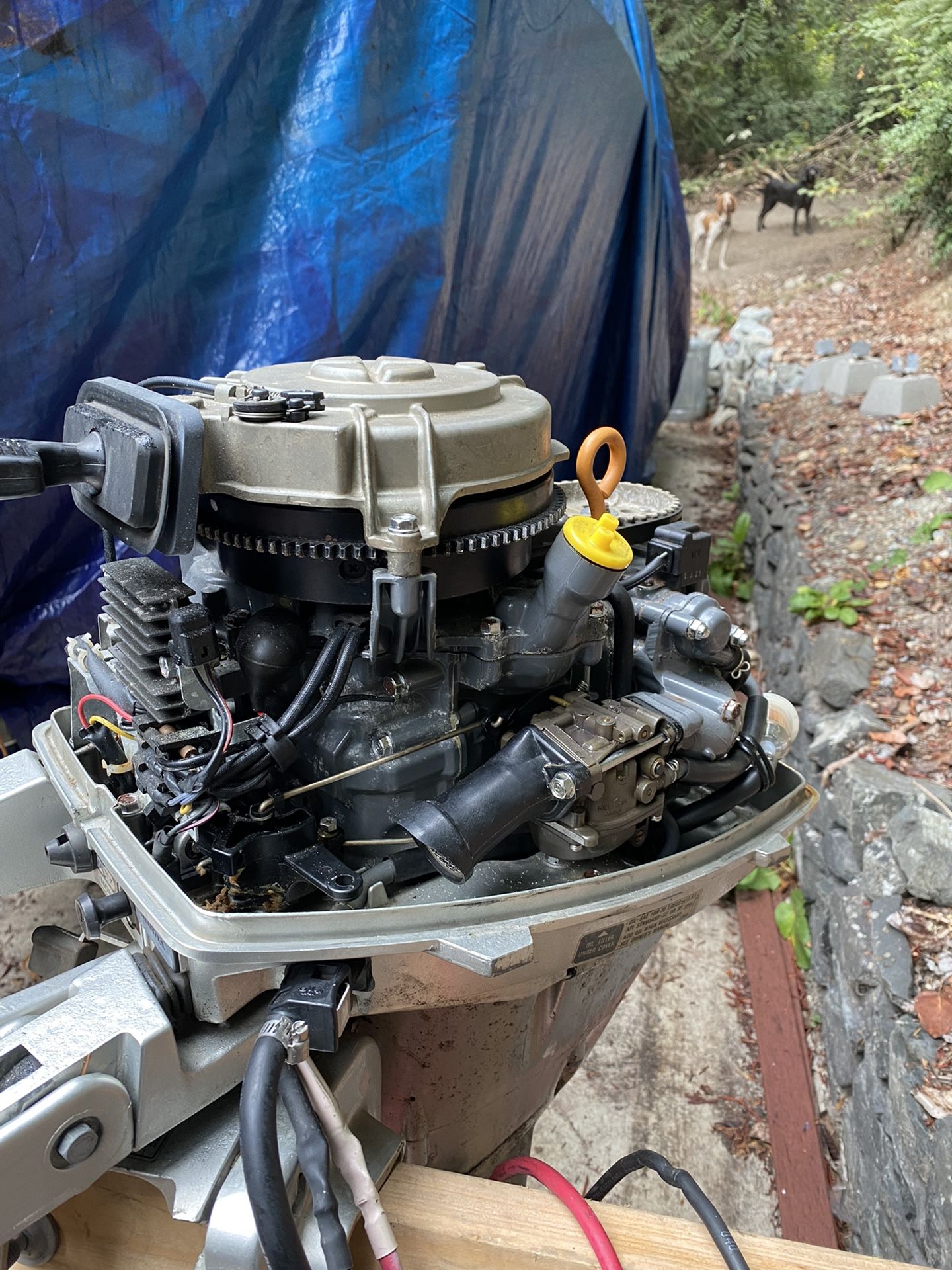 Honda Bf15a Outboard for Sale in Gig Harbor, WA OfferUp