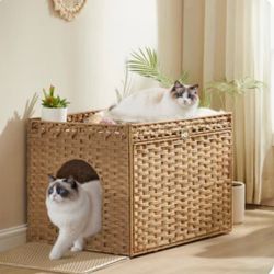 Cat house