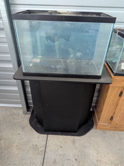 20 Gallon Fish Tank with Stand