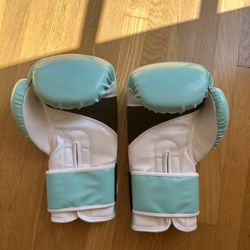 Triumph Boxing Gloves 