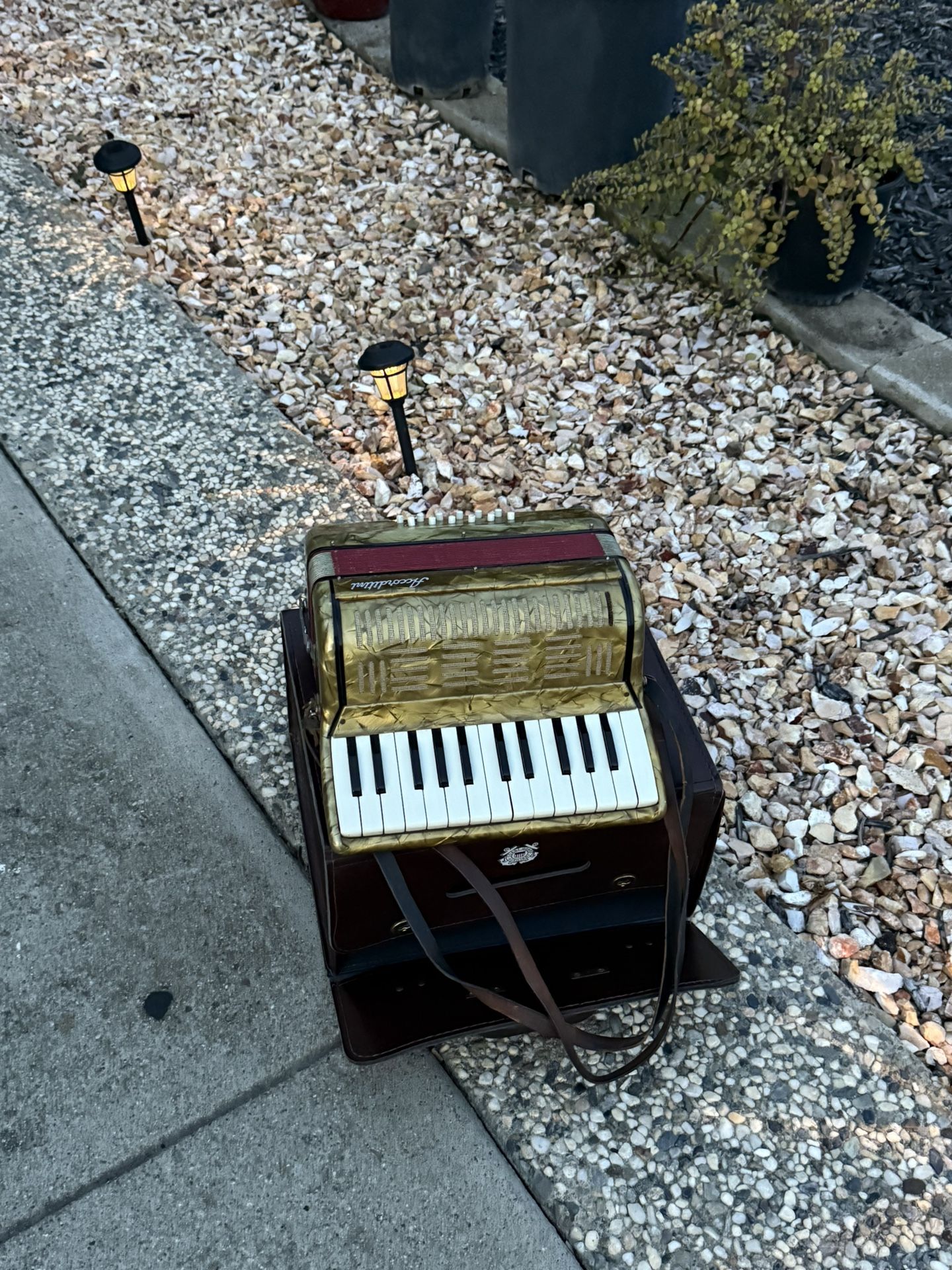 Gorgeous 🥰 Button, Italian Accordion 🪗