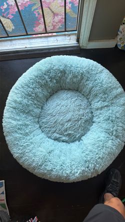 Medium Size Plushy Dog Bes