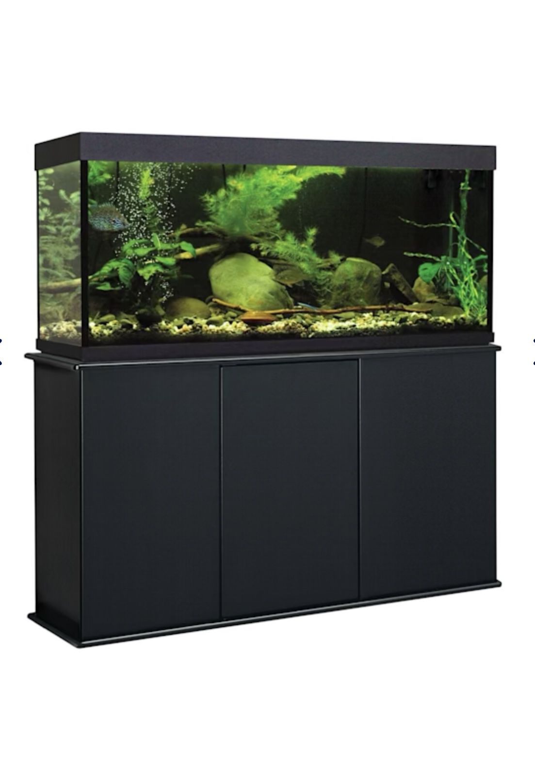 75 Gallon Aquarium and Stand
