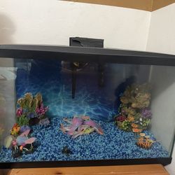 Fish Tank 