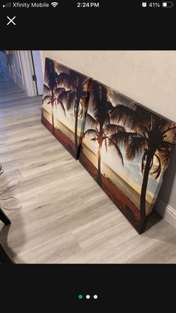 2 Large Canvas Frames 