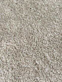 50 oz carpet special