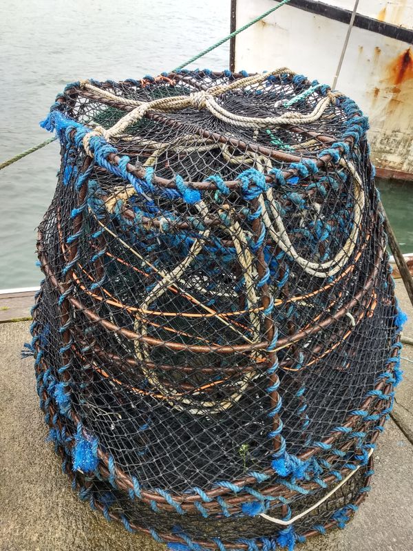 Black Cod pots. 4' dia. Single tunnel for Sale in Newport, OR OfferUp
