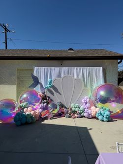 Seashell backdrop
