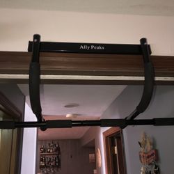Ally Peak Pull Up Bar