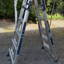 Little Giant For Sale 