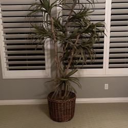 7.5ft Tall Fake Tree 