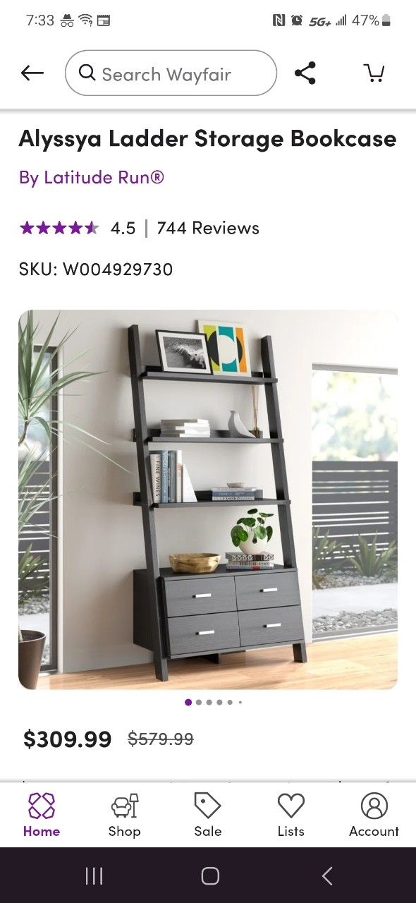 Ladder Storage & Bookcase