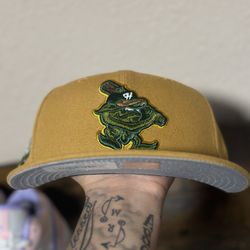 7 1/4 Fitted Hat 