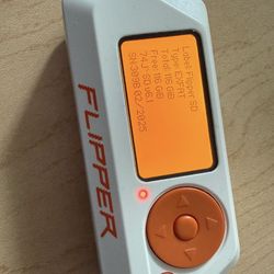 Flippe Zero With 128GB SD Card