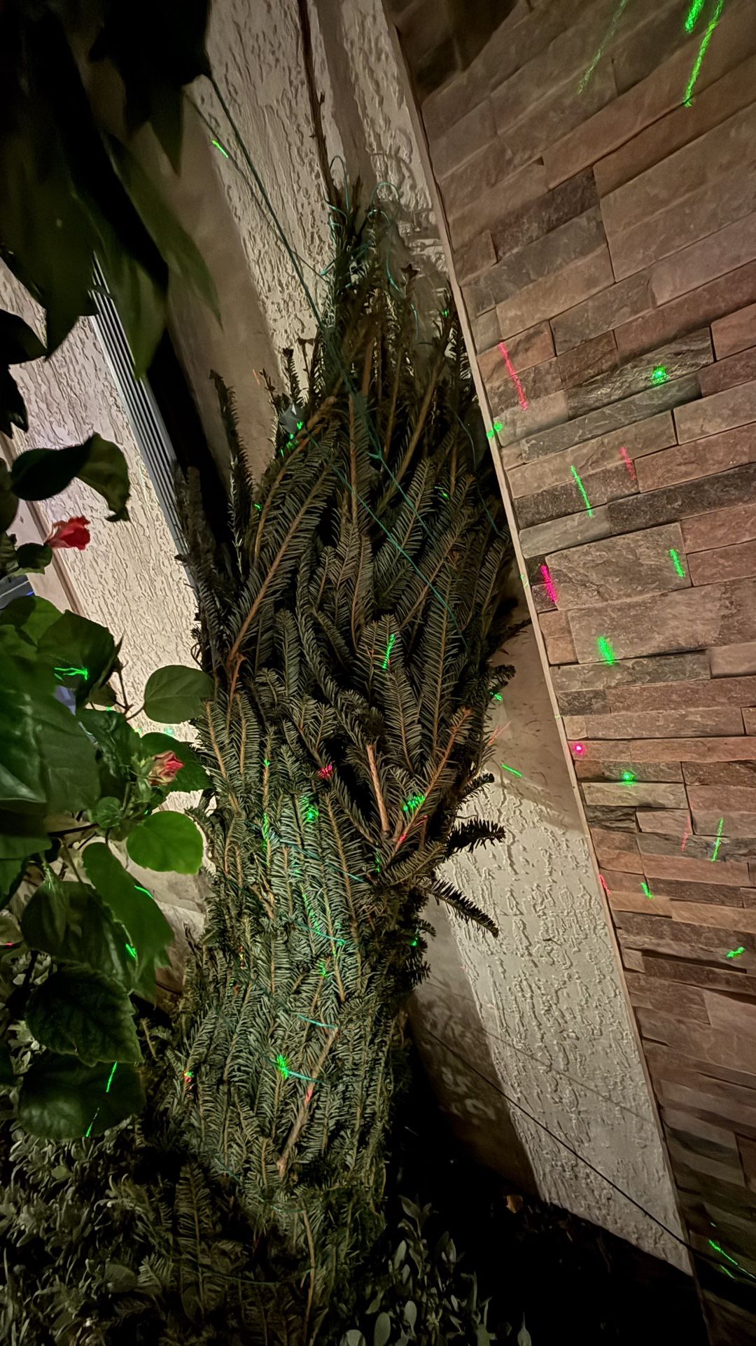 Natural Pine Christmas Tree 6 Ft