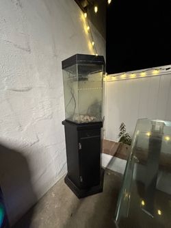 Fish Tank