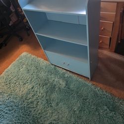 Huge rug & bookshelf