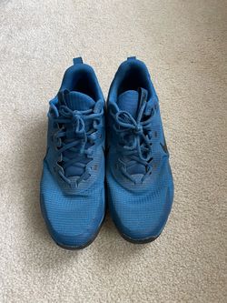 Nike Blue Low-Top Sneakers size 10.5
