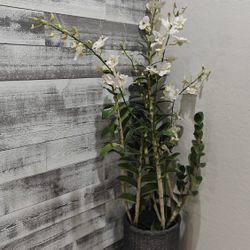 Natural Looking Artificial Plant