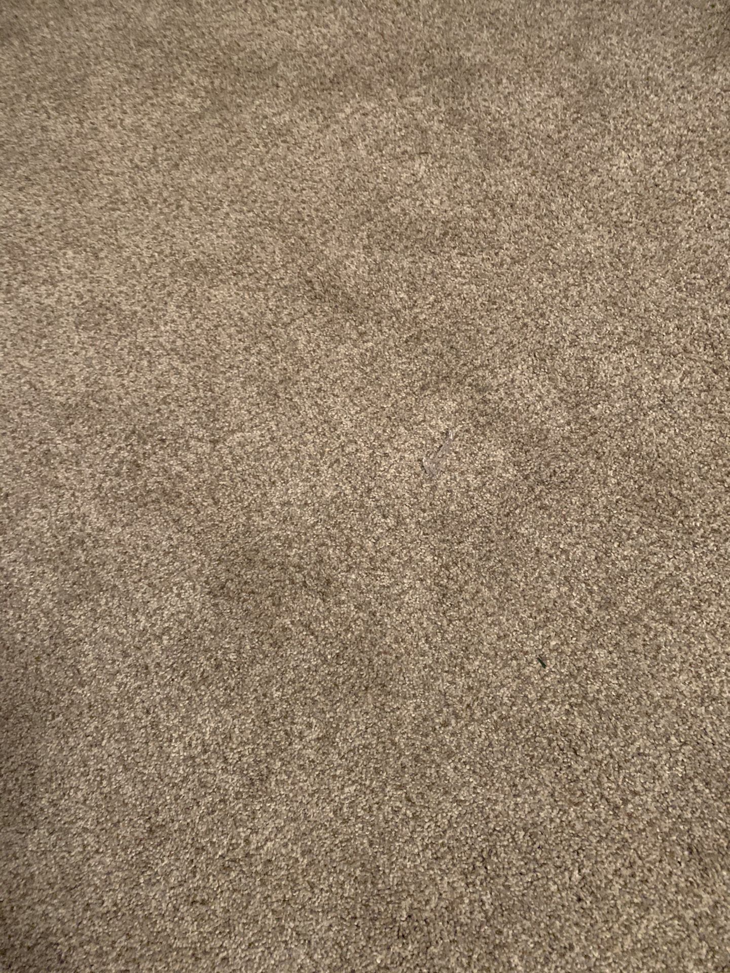 Beige carpet and underlay. Enough for 10’ x 10’ room