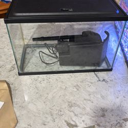 5 gallon aquarium 