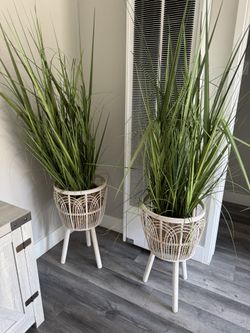 Artificial Plants