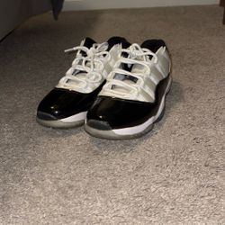 Jordan 11s Concord Lows
