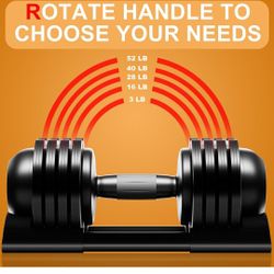 Dumbbell Set