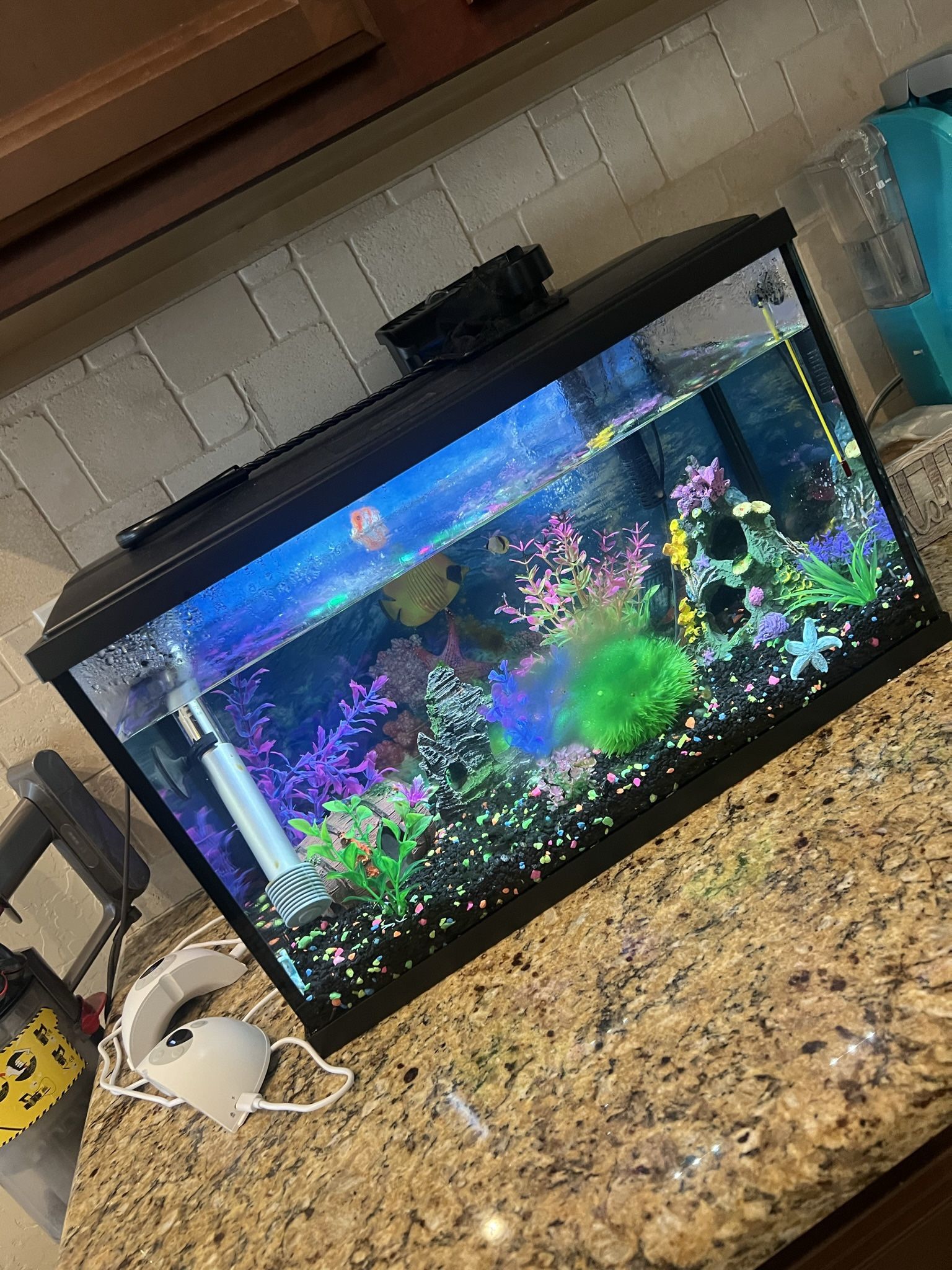 Heated Fish Tank With Decor 