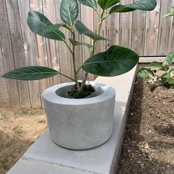 Handcrafted Cement Pot
