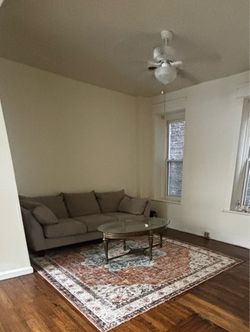 Rug