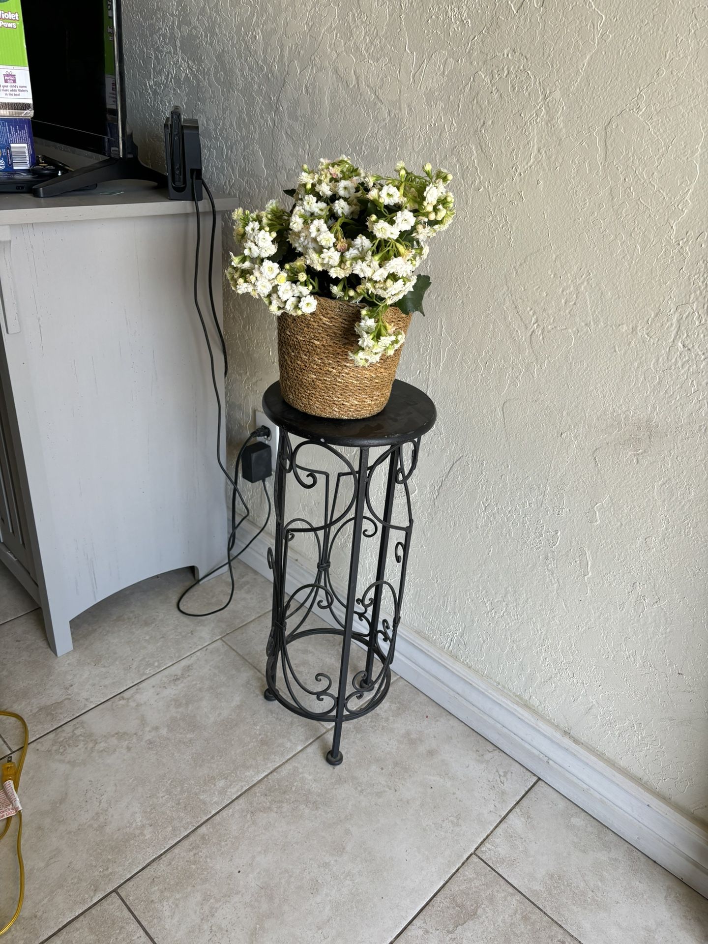 Plant Holder