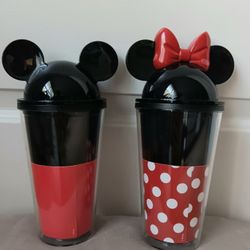 Minnie & Mickey Mouse Double Wall Tumbler