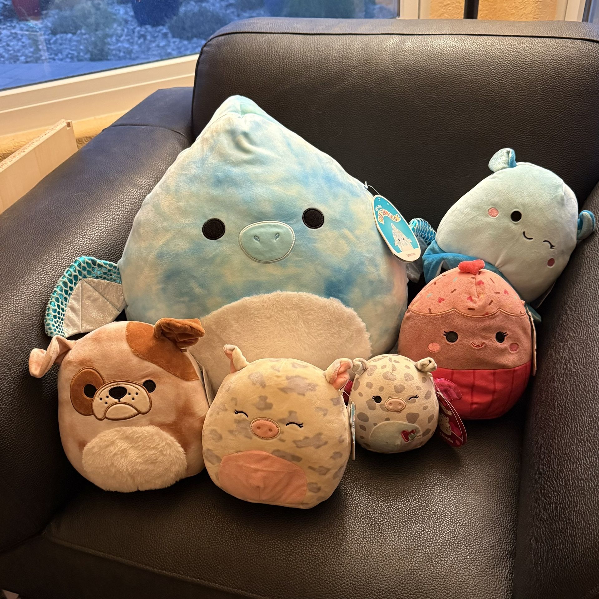 New With Tags Squishmallow Bundle