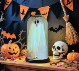 Ghost globe battery operated  8 1/2“ X 4 1/2“ $6.00 ea.
