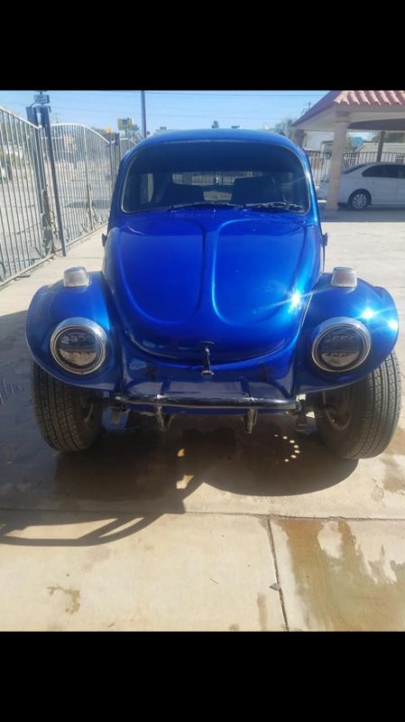 Baja bug