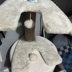 Cat Scratch And Play Stand