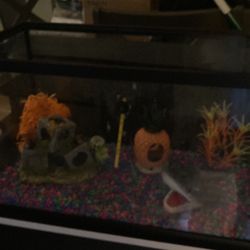 Fish Tank