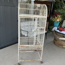 Large wrought iron birdcage 🦜 Parrot Size 