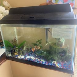 10 Gallon Tank