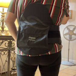 Back Support Belt