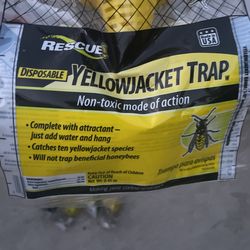 Yellowjacket Traps