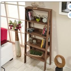 Bookshelf Ladder 