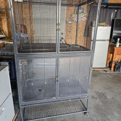 Big Bird Cage 🐦 