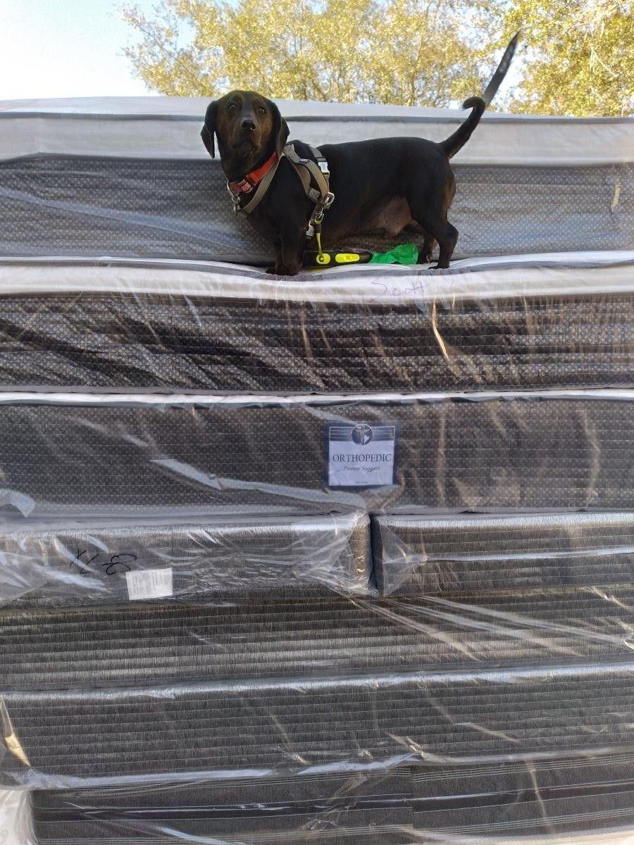 🔥🔥🔥 QUEEN SIZE ORTHOPEDIC FIRM MATTRESS SET BLOWOUT SALE🔥🔥🔥