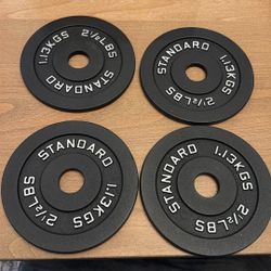1” Steel Weight Plates 2.5poundsx4