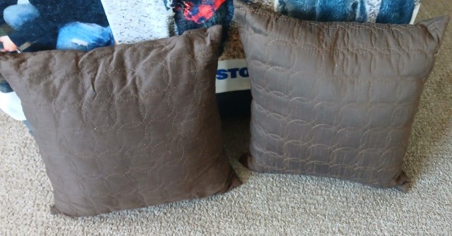 2 Throw Pillows