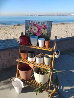 🌵Plant Pot Party – Bring Your Own Soil! (Rack NOT included... unless you bribe me) 🌸