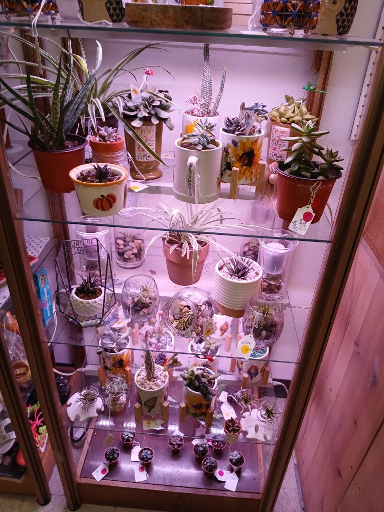Plants, Furniture, Glassware, Bratz Dolls,little Pets,