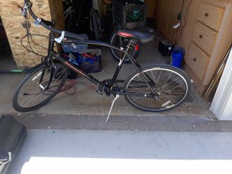 Bianchi Milano Cafe Racer Cruiser 8 Speed 